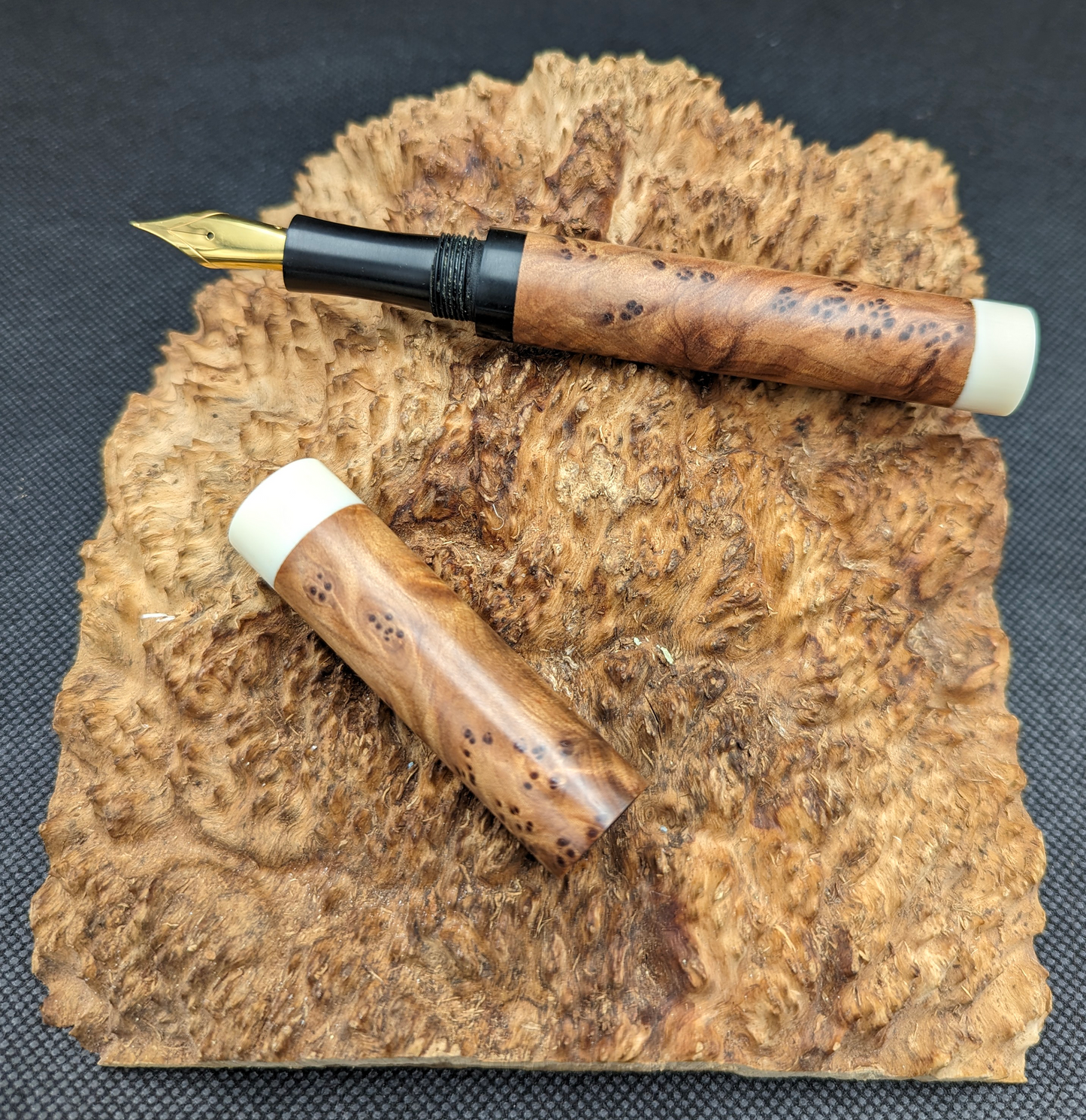 Thuya Burl - Faux Ivory End Caps